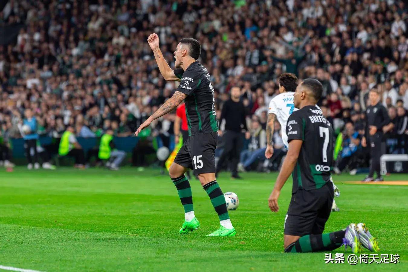 那不勒斯迎葡超关键赛，今晚强势反弹，更衣室稳定，球探报告显示潜力的简单介绍